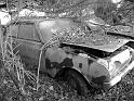 Autofriedhof - 100